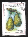 Stamps Madagascar -  Frutas, Aguacates