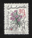 Stamps Czechoslovakia -  Protección de la naturaleza, Dianthus glacialis