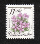 Stamps Czechoslovakia -  Protección de la naturaleza, Daphne cneorum