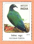 Sellos de Asia - India -  AVES.  PALOMA  NICOBAR.