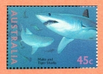 Stamps Australia -  VIDA  MARINA.  TIBURÓN  TIGRE.