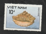 Stamps Vietnam -  926 - Concha 