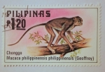Sellos de Asia - Filipinas -  Animals