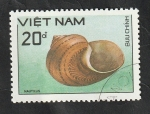 Stamps Vietnam -  927 - Concha 