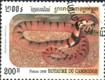 Stamps Cambodia -  SERPIENTE  CORAL  DEL  CABO