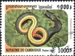Stamps Cambodia -  SERPIENTE  DE  CUELLO  ANILLADO