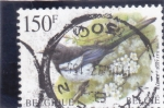 Stamps Belgium -  AVES