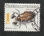 Sellos de Europa - Checoslovaquia -  2920 - Insecto polyphylla fullo