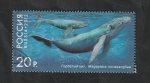 Stamps Russia -  7279 - Ballena