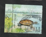 Stamps Russia -  7816 - Tortuga, emysorbicularis