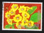 Stamps Equatorial Guinea -  Flowers (II) South American