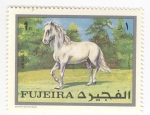 Sellos del Mundo : Asia : Emiratos_�rabes_Unidos : Razas de caballos