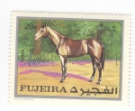 Sellos de Asia - Emiratos �rabes Unidos -  Razas de caballos