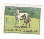 Stamps United Arab Emirates -  Yegua y potro