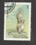 Stamps Russia -  Musaraña de Pamir