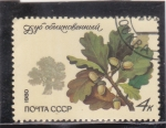Stamps Russia -  BELLOTAS Y ALCORNOQUE