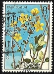 Stamps Spain -  Helianthemum Paniculatum