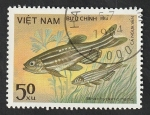 Sellos de Asia - Vietnam -  507 - Pez