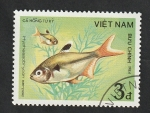 Sellos de Asia - Vietnam -  510 - Pez