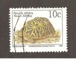 Stamps South Africa -  SC