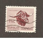 Stamps South Africa -  SC4