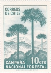 Sellos de America - Chile -  CAMPAÑA NACIONAL FORESTAL 