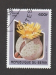 Stamps Benin -  Lithops fulviceps