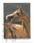 Stamps : America : Cuba :  caballos