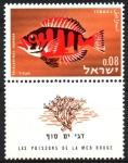 Stamps Israel -  BULLSEYE  COLA  DE  LUNA
