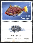 Stamps : Asia : Israel :  PEZ  GATITO  FORRADO  EN  NARANJA