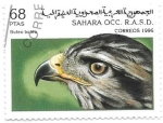 Sellos de Africa - Marruecos -  aves