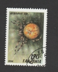 Stamps Tanzania -  Araneuus spp.
