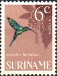 Stamps : America : Suriname :  AVES.  ESMERALDA  DE  GARGANTA  BRILLANTE.