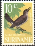 Stamps Suriname -  AVES.  PETI  ROJO  DE  PECHO PÁLIDO.