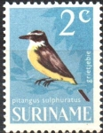 Stamps : America : Suriname :  AVES.  KISKADE  GRANDE.