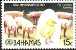 Stamps : America : Bahamas :  50th  ANIVERSARIO  DE  LA  FAO.  GANADERÍA  PORCINA  Y  AVICULTURA.  