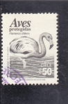Stamps Chile -  AVES PROTEGIDAS- FLAMENCO CHILENO 