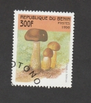 Stamps Benin -  Tylopilus