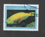 Stamps Benin -  Scarus gibbus