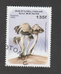 Sellos de Africa - Benin -  Psilocybe caerulecens