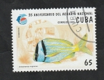 Sellos de America - Cuba -  3433 - Pez