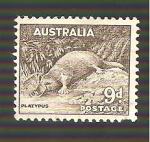 Sellos de Oceania - Australia -  174