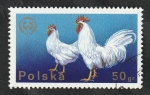 Stamps Poland -  2217 - Gallinas