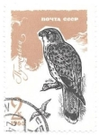 Stamps : Europe : Russia :  aves