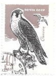 Stamps : Europe : Russia :  aves