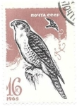 Stamps Russia -  aves