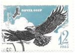 Stamps : Europe : Russia :  aves