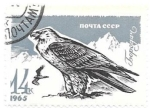 Sellos de Europa - Rusia -  aves