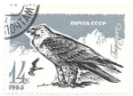 Stamps Russia -  aves