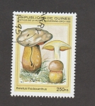 Stamps Guinea -  Boletus rhodoxanthius
